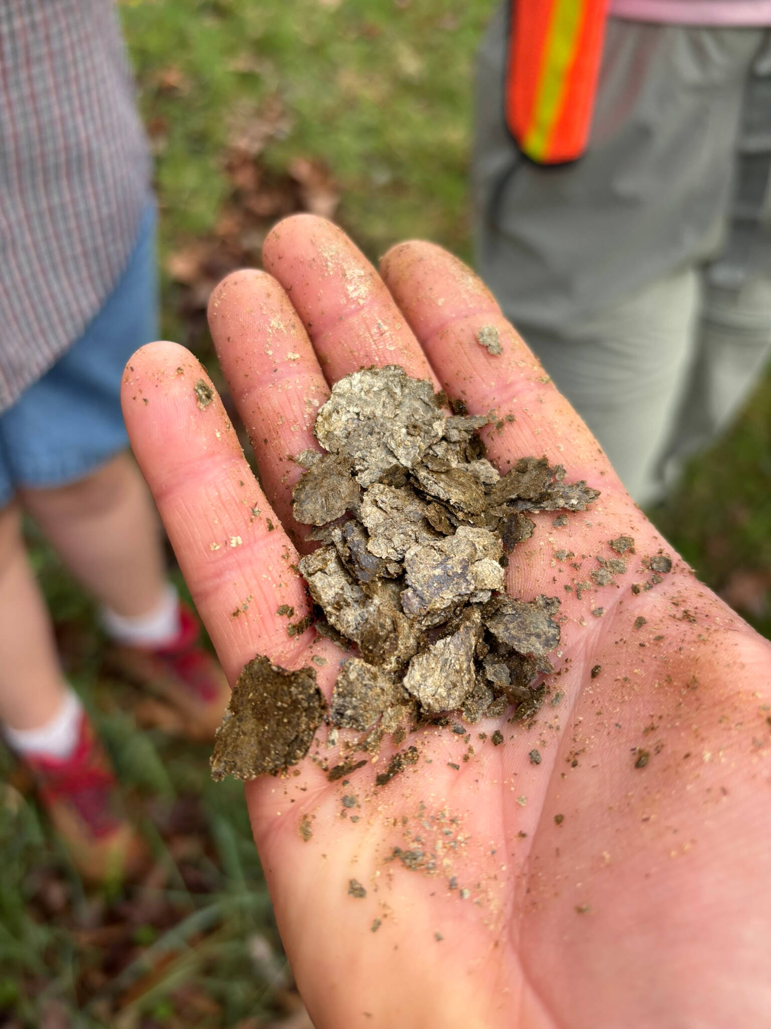 hand with soil in the palm